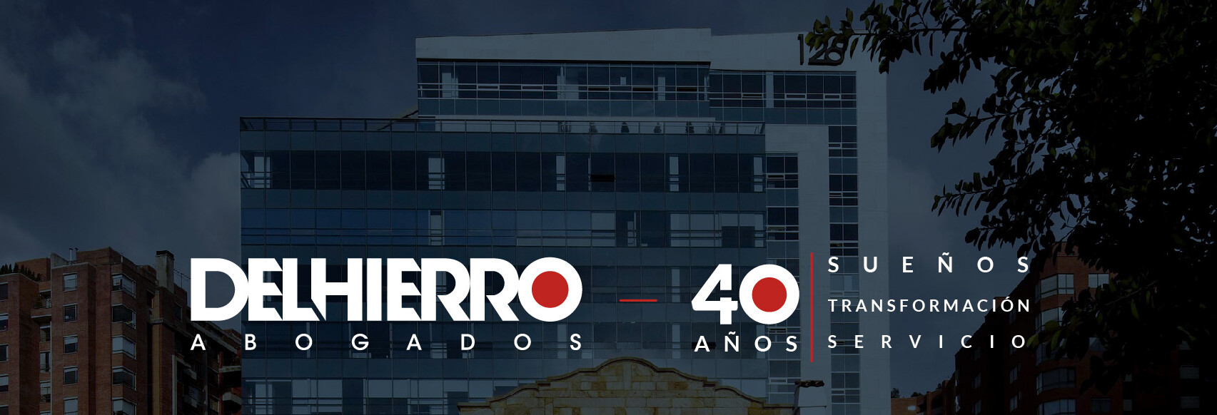 Protectores de pantalla DHA-04